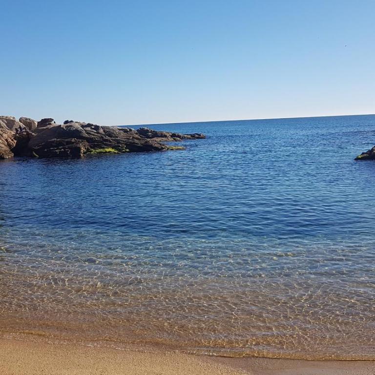 APARTAMENTO JUNTO AL MAR CON JARDIN COMUNITARIO Y PARKING - Apartamento de 2 dormitorios - 23