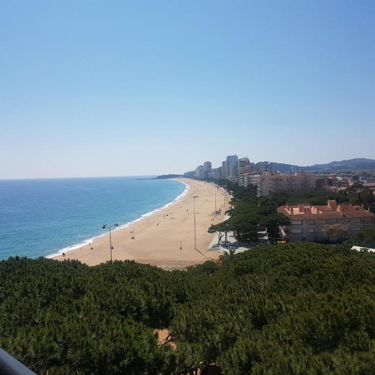 APARTAMENTO JUNTO AL MAR CON JARDIN COMUNITARIO Y PARKING - Apartamento de 2 dormitorios - 29