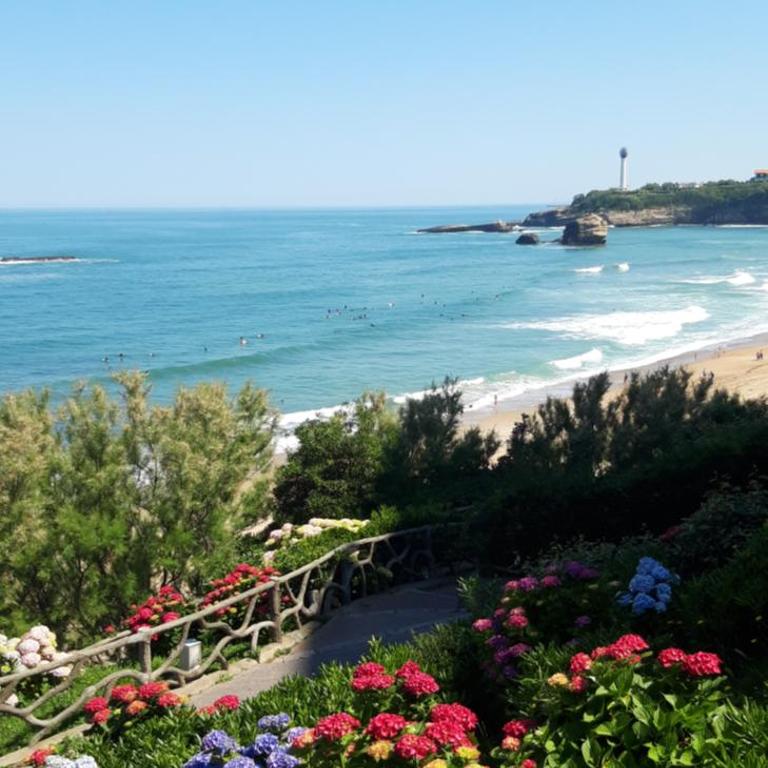 Dalhia Studio centre ville Biarritz - Appartement 1 Chambre - 14