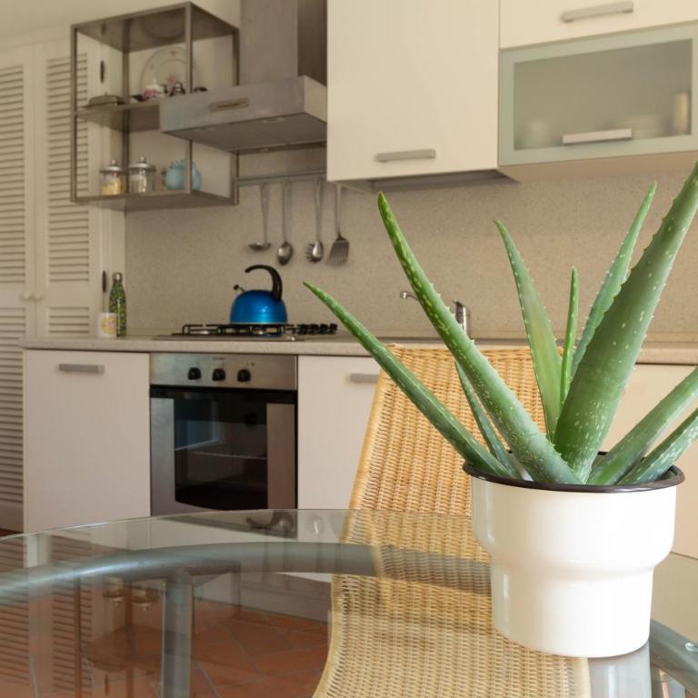 Mamma Ciccia Holiday Home - Conventino - Appartamento - 8