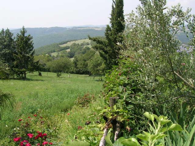 Villa Bea - Villa con Vista Giardino - 37