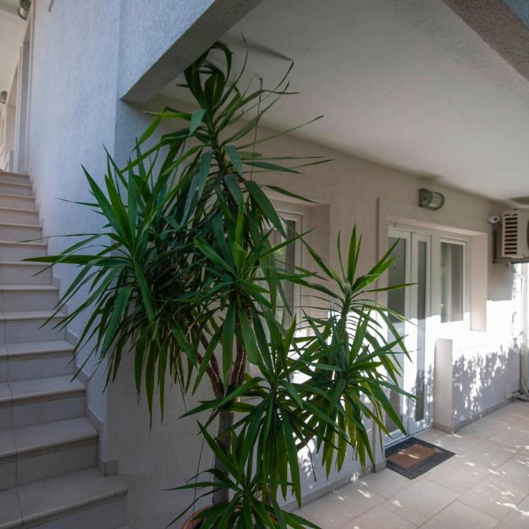 Mandir apartments - Center - Standardni Trokrevetni Studio - 13