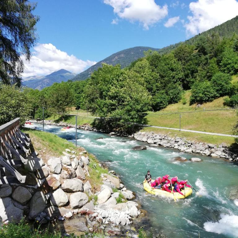 Appartamenti Roulette Montana Marilleva 900 - Monolocale (3 Adulti) - 3