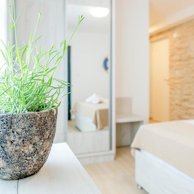 Square Point Apartments - One-Bedroom Apartment - 24