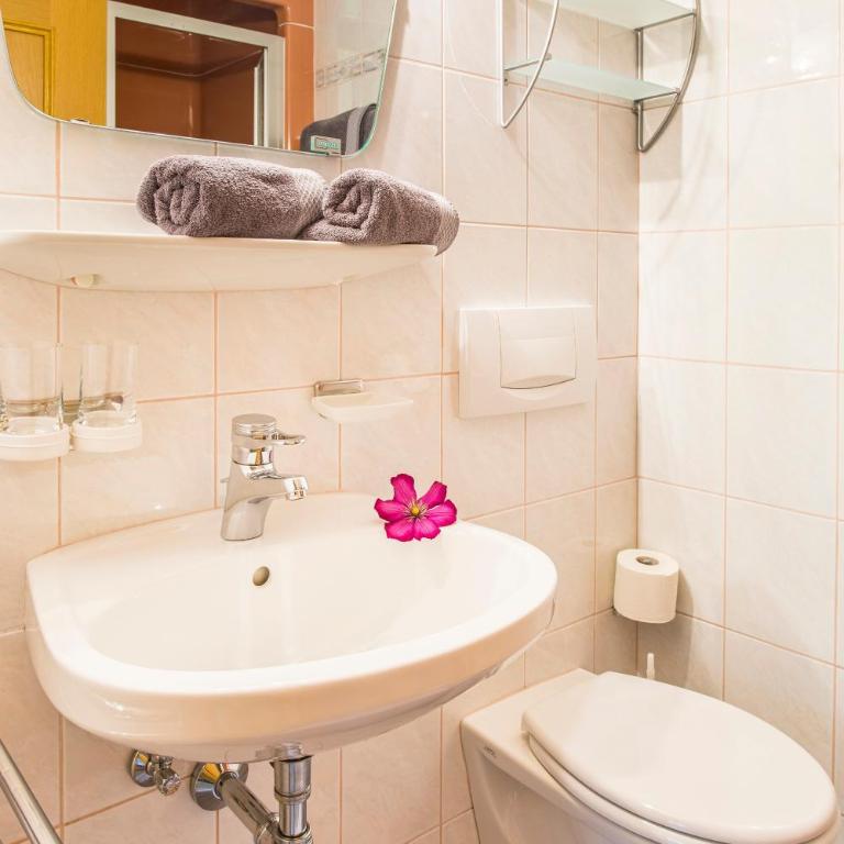 Bio Bauernhof Schweizerhof - Apartment mit Balkon - 10