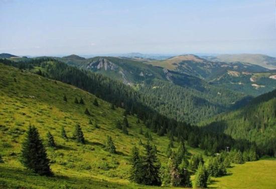Apartman Nina Kopaonik centar - Apartment - 32