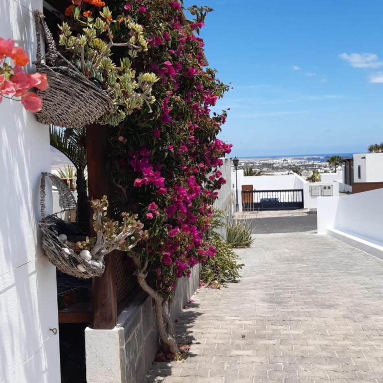 Apartamento Alma - Two-Bedroom Apartment - 14