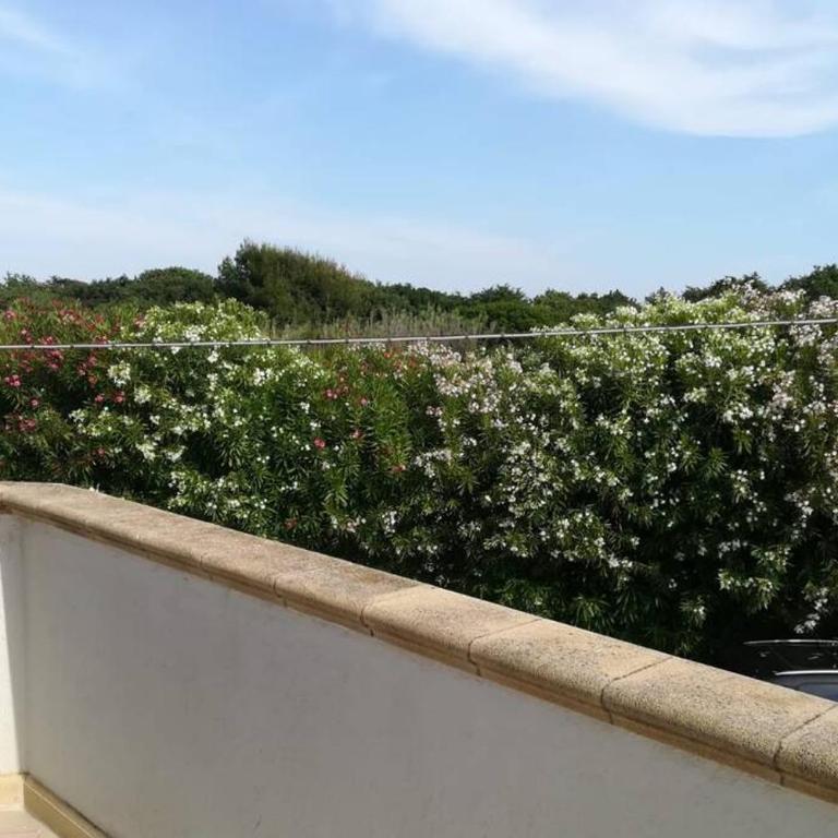 ottima location presso lido tabù - Two-Bedroom House - 6