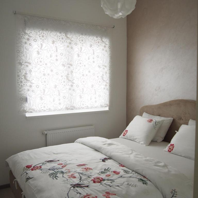 Apartment Djordje - Apartman sa 1 Spavaćom Sobom - 30