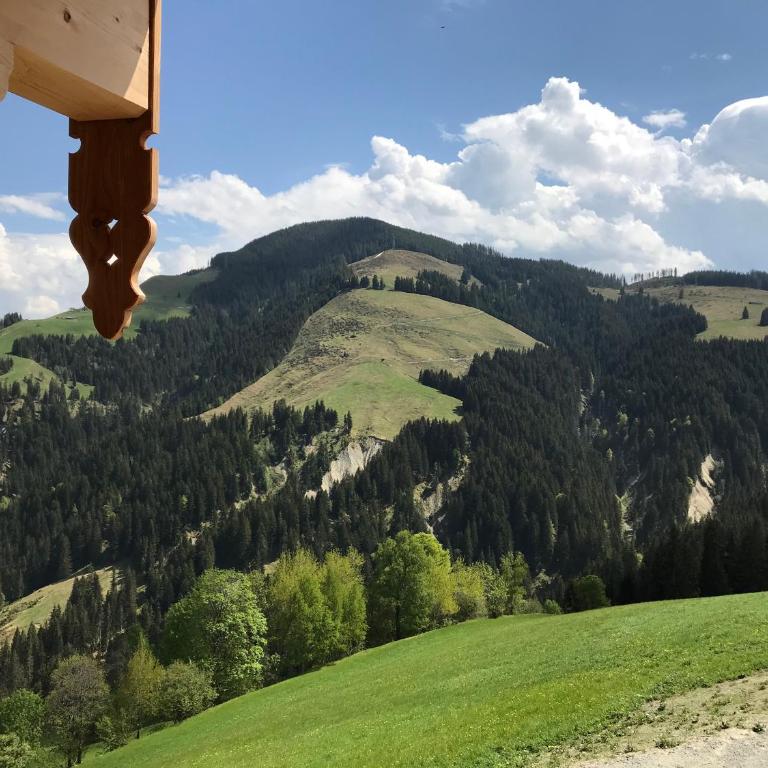Bergappartements Reithammer - Ellmau - Apartamento de 1 dormitorio - 8