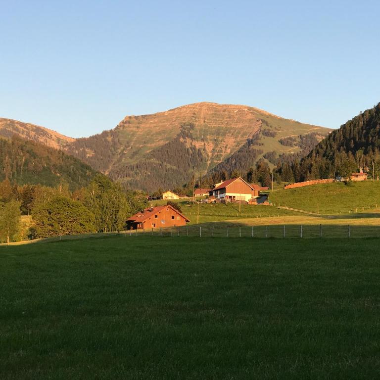 Ferienwohnung Steibis / Allgäu - Apartment - Erdgeschoss - 20