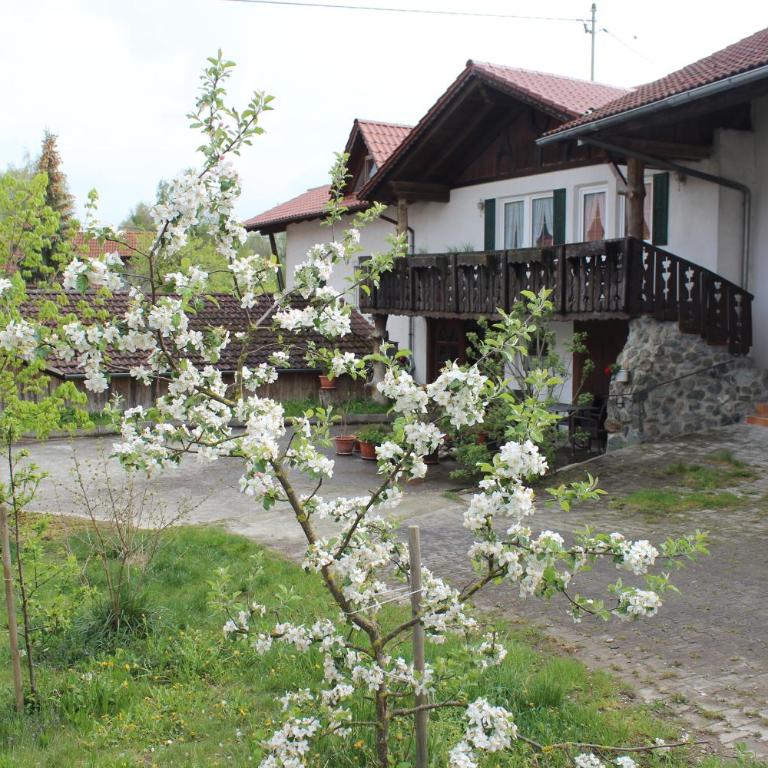 Appartement-Stetten - Apartment mit 1 Schlafzimmer - 3