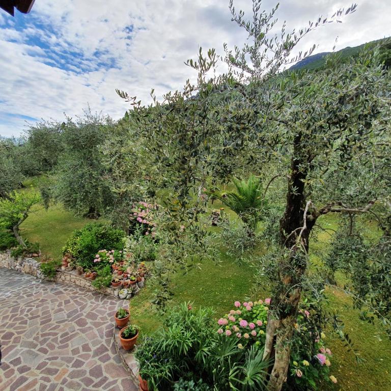 Casa Valenti - Appartamento con 1 Camera da Letto - 25