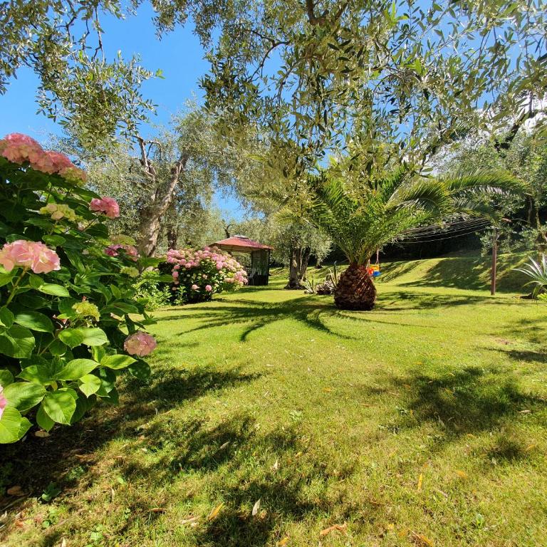 Casa Valenti - Appartamento con 1 Camera da Letto - 17