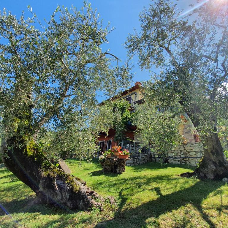 Casa Valenti - Appartamento con 1 Camera da Letto - 18