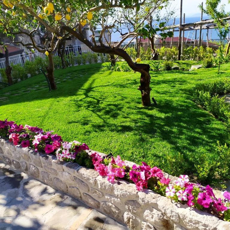 Il Sogno di Lina Sorrento Coast Capri View - Casa con 2 Camere da Letto - 30