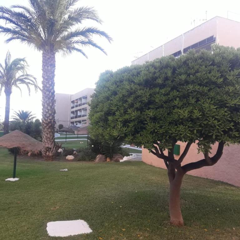 La Burbuja - Apartamento de 2 dormitorios - 31