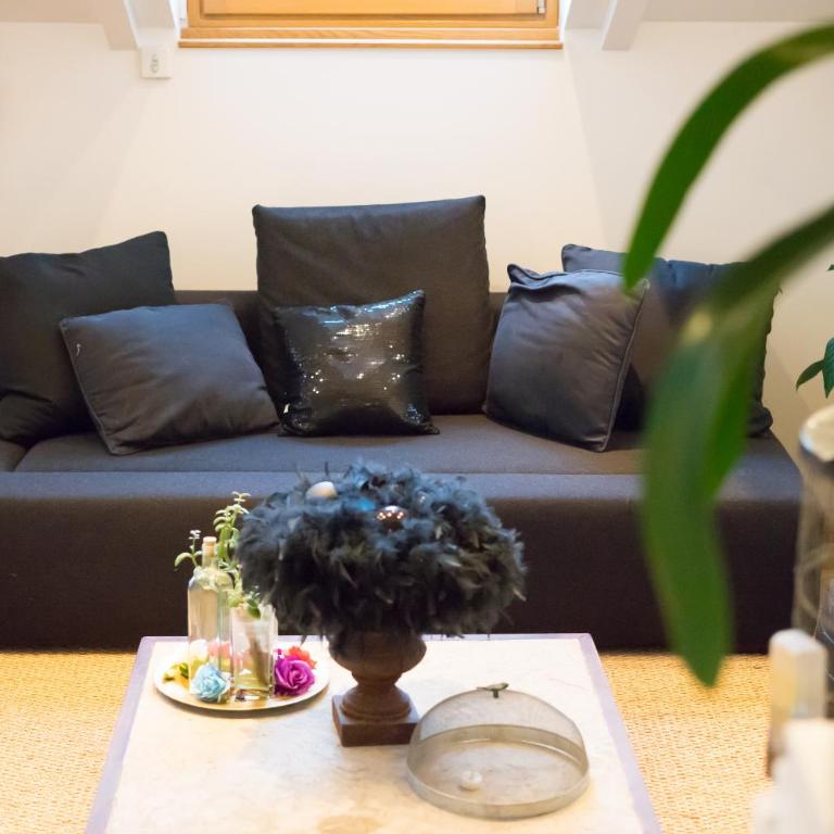Appartements atypiques centre ville Annecy - Apartamento de 1 dormitorio - 3