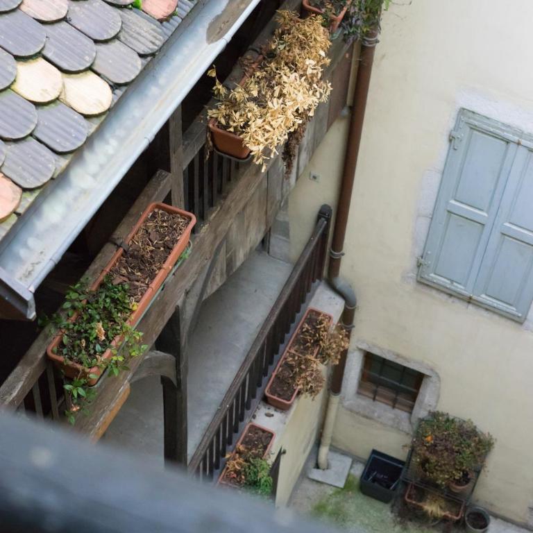 Appartements atypiques centre ville Annecy - Apartamento de 1 dormitorio - 17