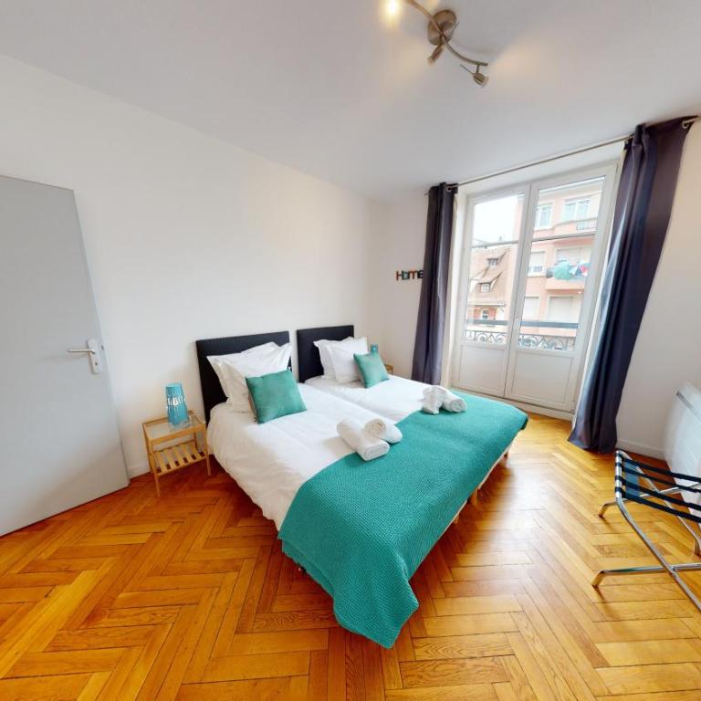 Strasbourg Appart Rue du 22 Novembre - Apartamento Netter de 2 dormitorios y sala de estar - 4
