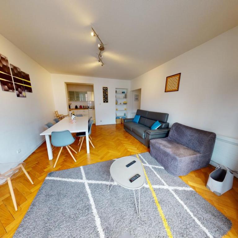 Strasbourg Appart Rue du 22 Novembre - Apartamento Netter de 2 dormitorios y sala de estar - 11