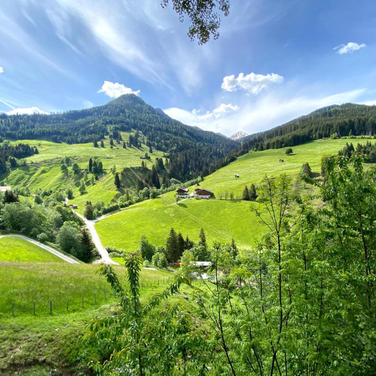 Pointhütte - Chalet mit 2 Schlafzimmern - 4