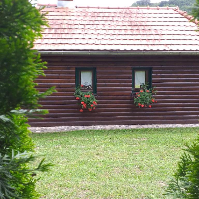 Drinska Tajna - Kuća sa 1 Spavaćom Sobom - 25