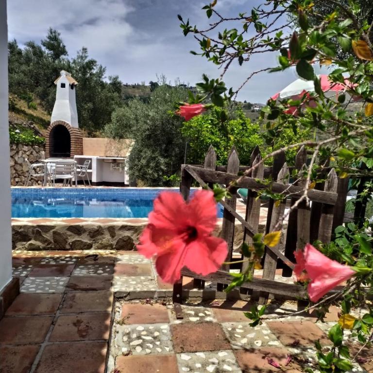 Cortijo la Joya - Casa de 3 dormitorios - 1