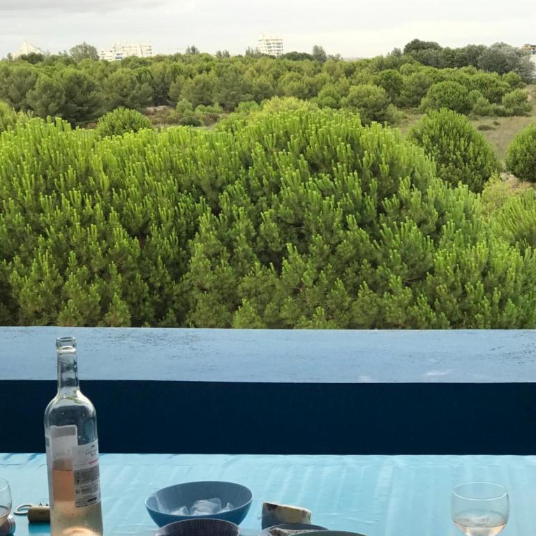 Vue mer, terrasse,clim, wifi, parking, piscine - Apartment mit 1 Schlafzimmer - 8