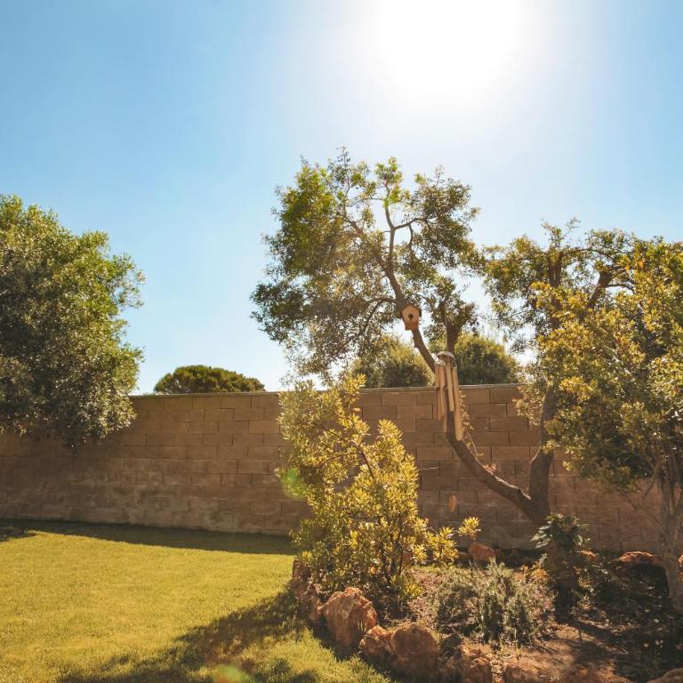 Villa Lucia - Villa - 19