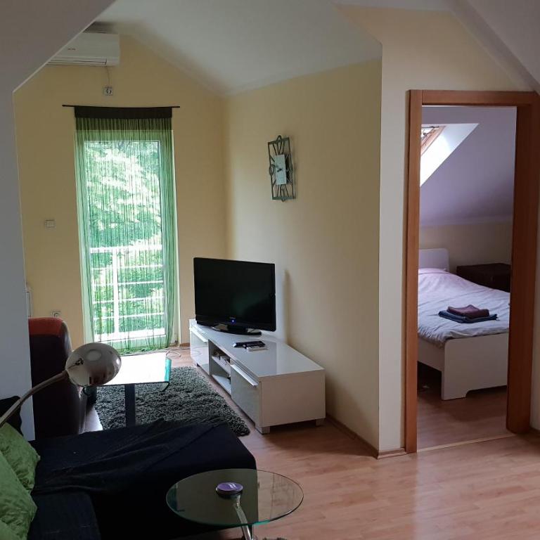 Apartman Vid - Apartman sa 1 Spavaćom Sobom - 2
