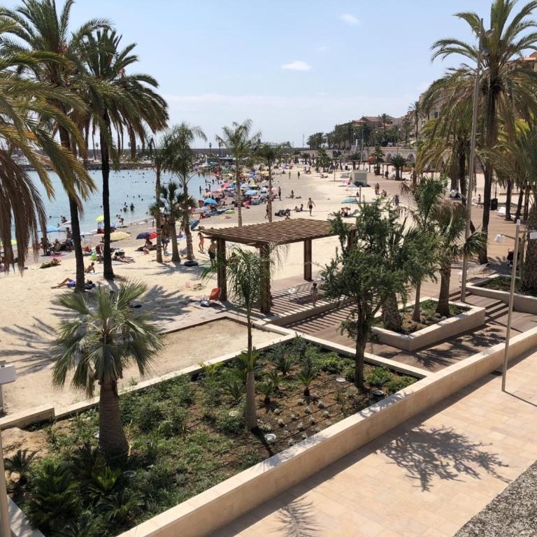 APPARTEMENT TERRASSE VUE MER Sea view terrace apartment "Etoile de Mer" - Appartement 1 Chambre - 24
