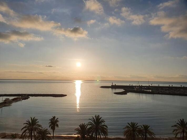 APPARTEMENT TERRASSE VUE MER Sea view terrace apartment "Etoile de Mer" - Appartement 1 Chambre - 22