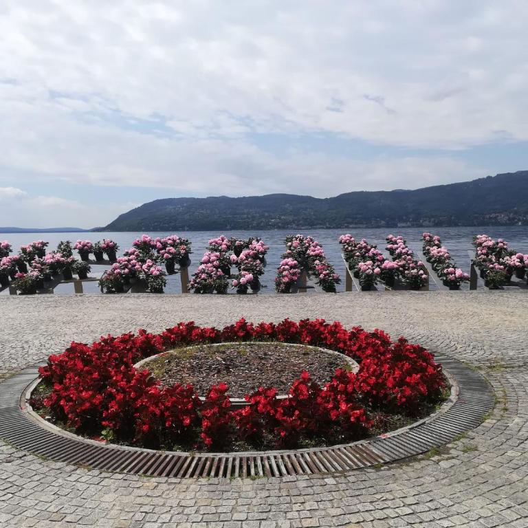 Residenza Silvana Apt A Cielo on the ground floor with parking - Appartamento - Piano Terra - 17