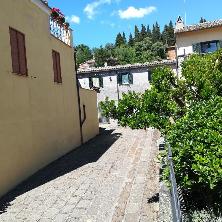 Alloggio Turistico Civico 4 - Appartamento Standard con 1 Camera da Letto - 9
