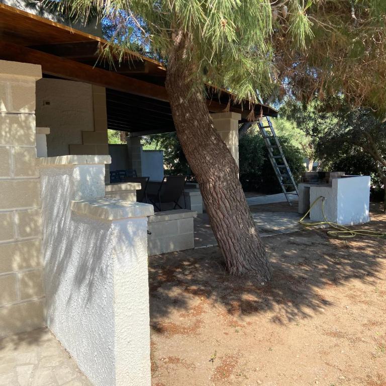 Appartamenti in villa Senia - Casa con 1 Camera da Letto - 16