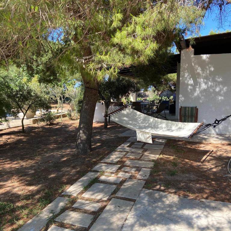 Appartamenti in villa Senia - Villa con 2 Camere da Letto - 24