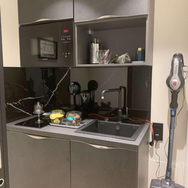 Cocon Chic Aix les bains - Apartment mit 1 Schlafzimmer - 50