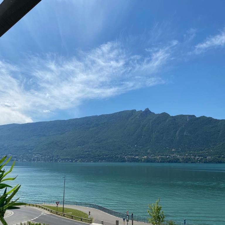 Cocon Chic Aix les bains - Apartment mit 1 Schlafzimmer - 53