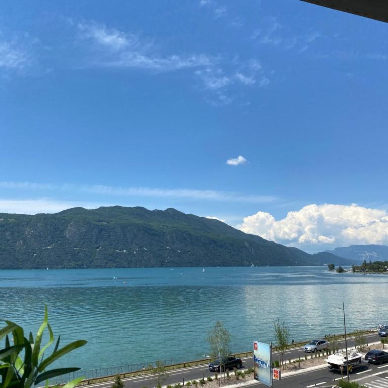 Cocon Chic Aix les bains - Apartment mit 1 Schlafzimmer - 38