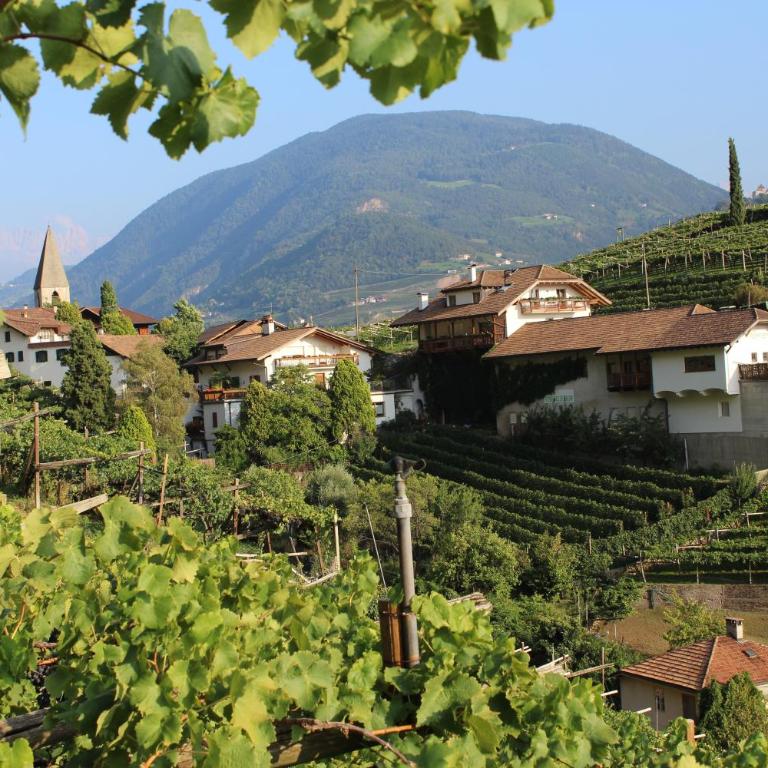 Weingut Eberlehof - Appartement 2 Chambres - 1