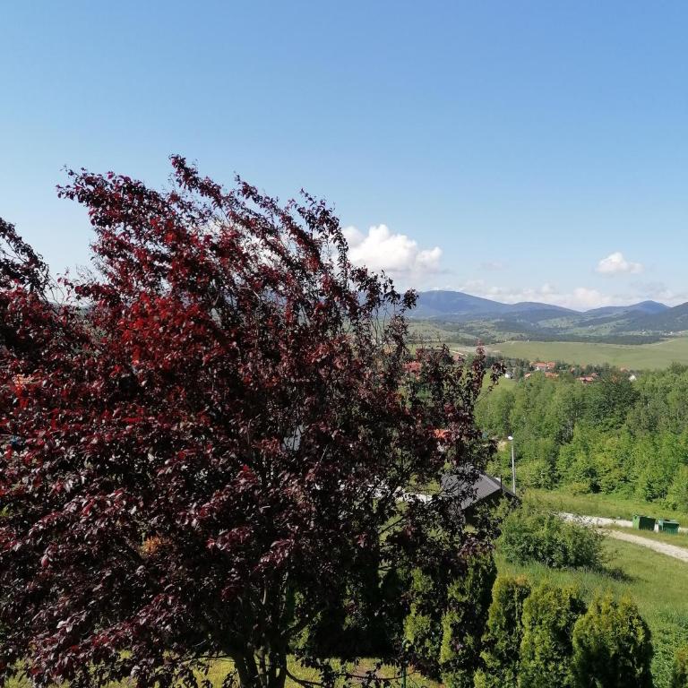 PENEMA - Apartman sa Pogledom na Planinu - 52