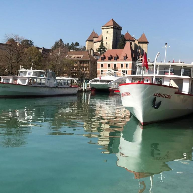 L'Appart' du 10 - T3 4 downtown Annecy with canal view - Appartamento - 20
