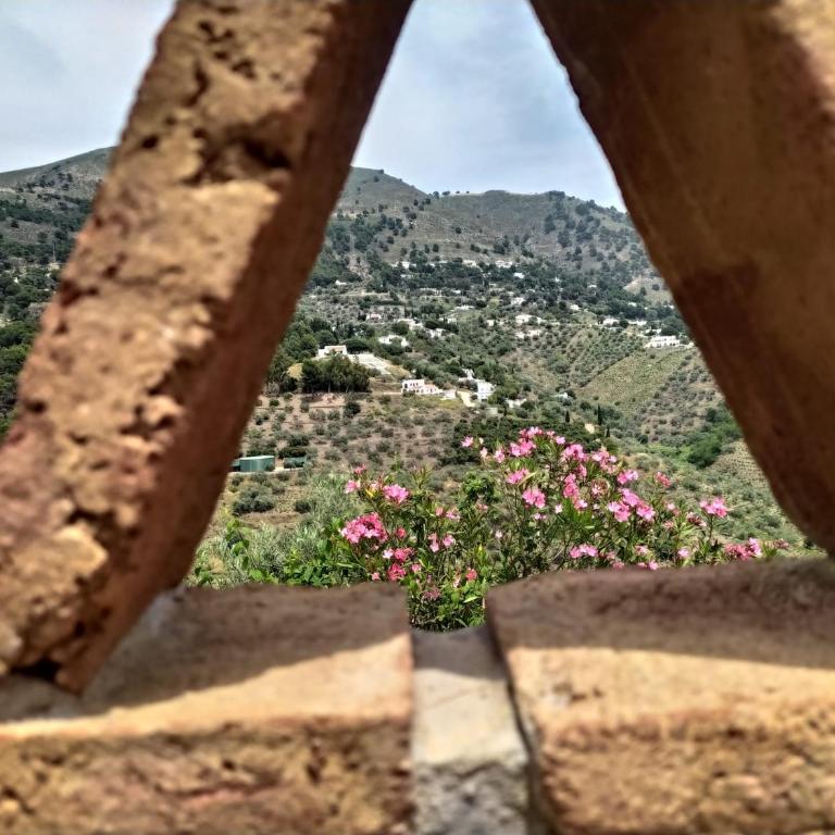 Cortijo la Joya - Casa de 3 dormitorios - 2