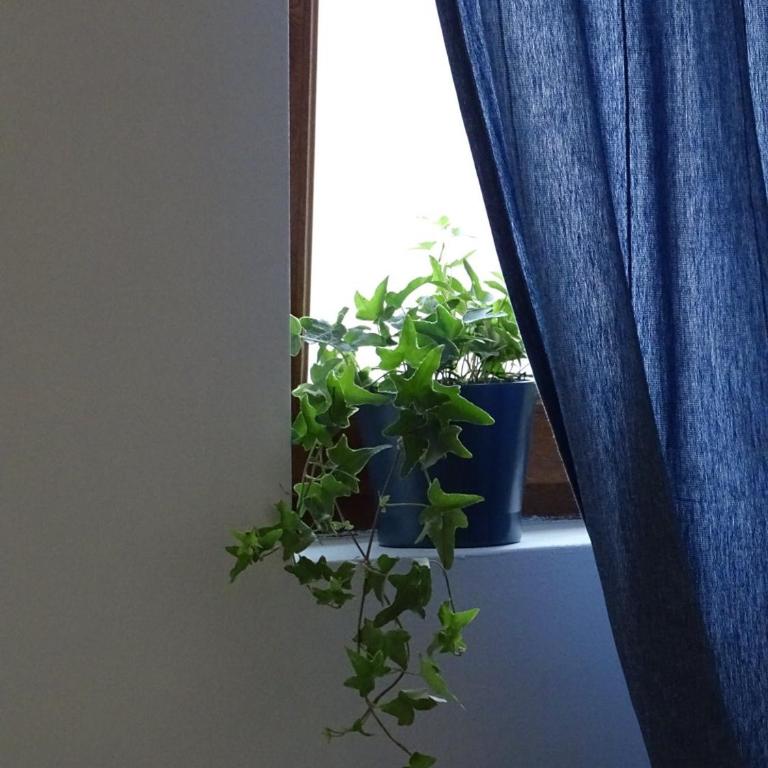 Blue Apartment - Apartman sa 1 Spavaćom Sobom - 7