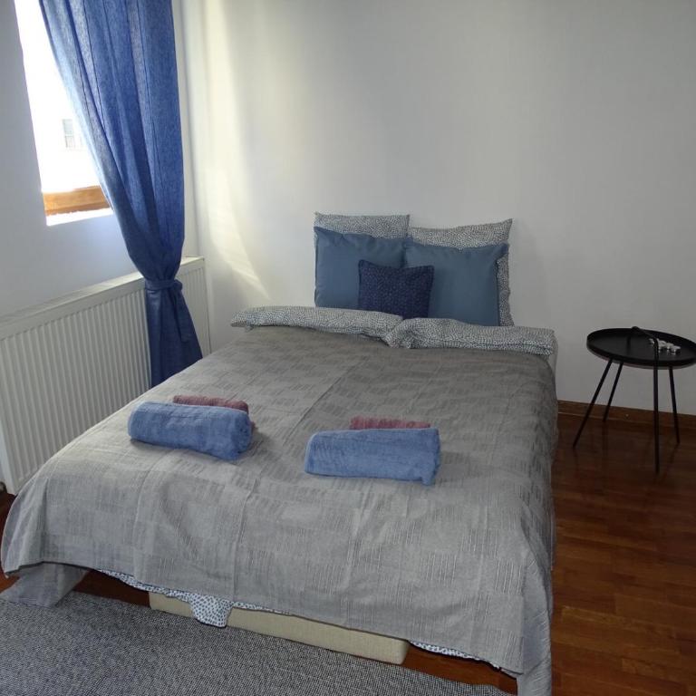 Blue Apartment - Apartman sa 1 Spavaćom Sobom - 27
