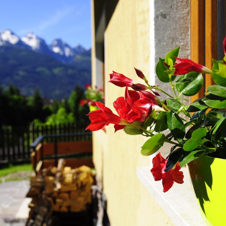 B&BeautyFol Dolomites B&B adults only - Camera Matrimoniale - 11