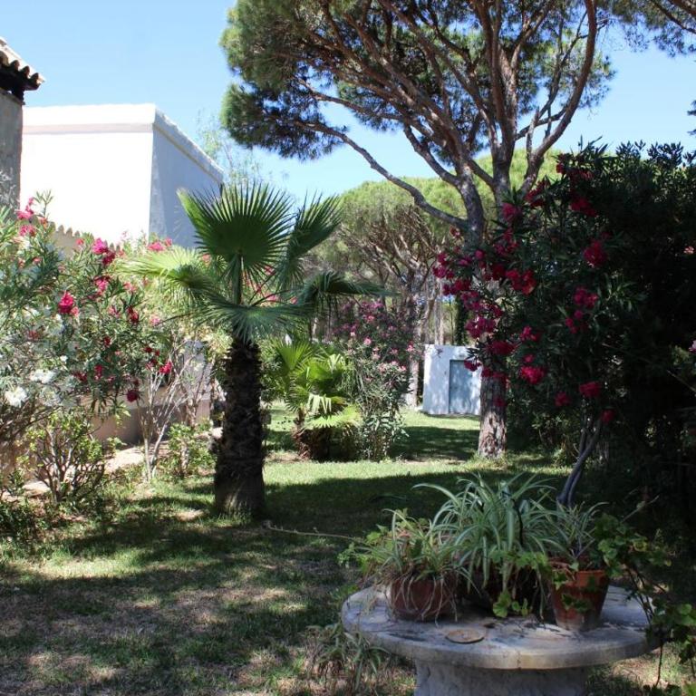 Villa andaluza en zona Playa Barrosa con piscina y barbacoa - Villa con piscina privada - 6