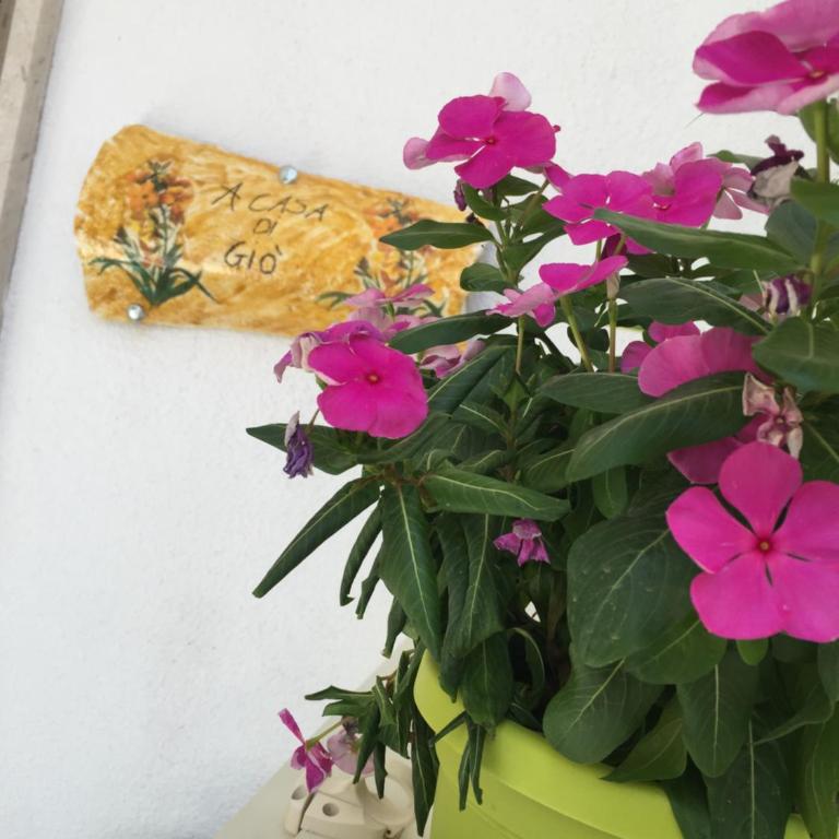 A Casa di Gio - Appartamento con 1 Camera da Letto - 15