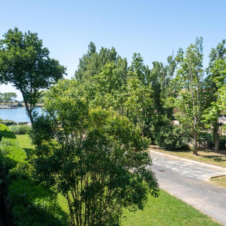 appartement T2 climatisé avec piscine secteur richelieu - Appartement 1 Chambre - 5